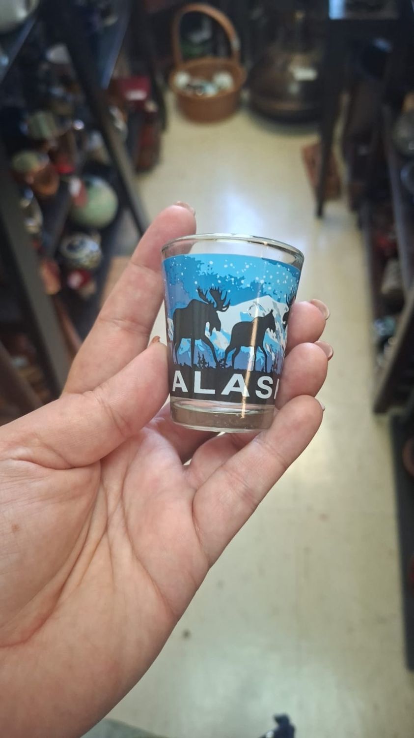 SHOOTER POUR SAVANNAH