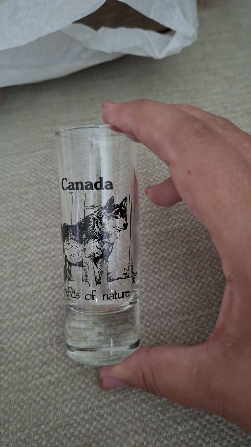 POUR SAVANNAH SHOOTER AVEC LE LOUP