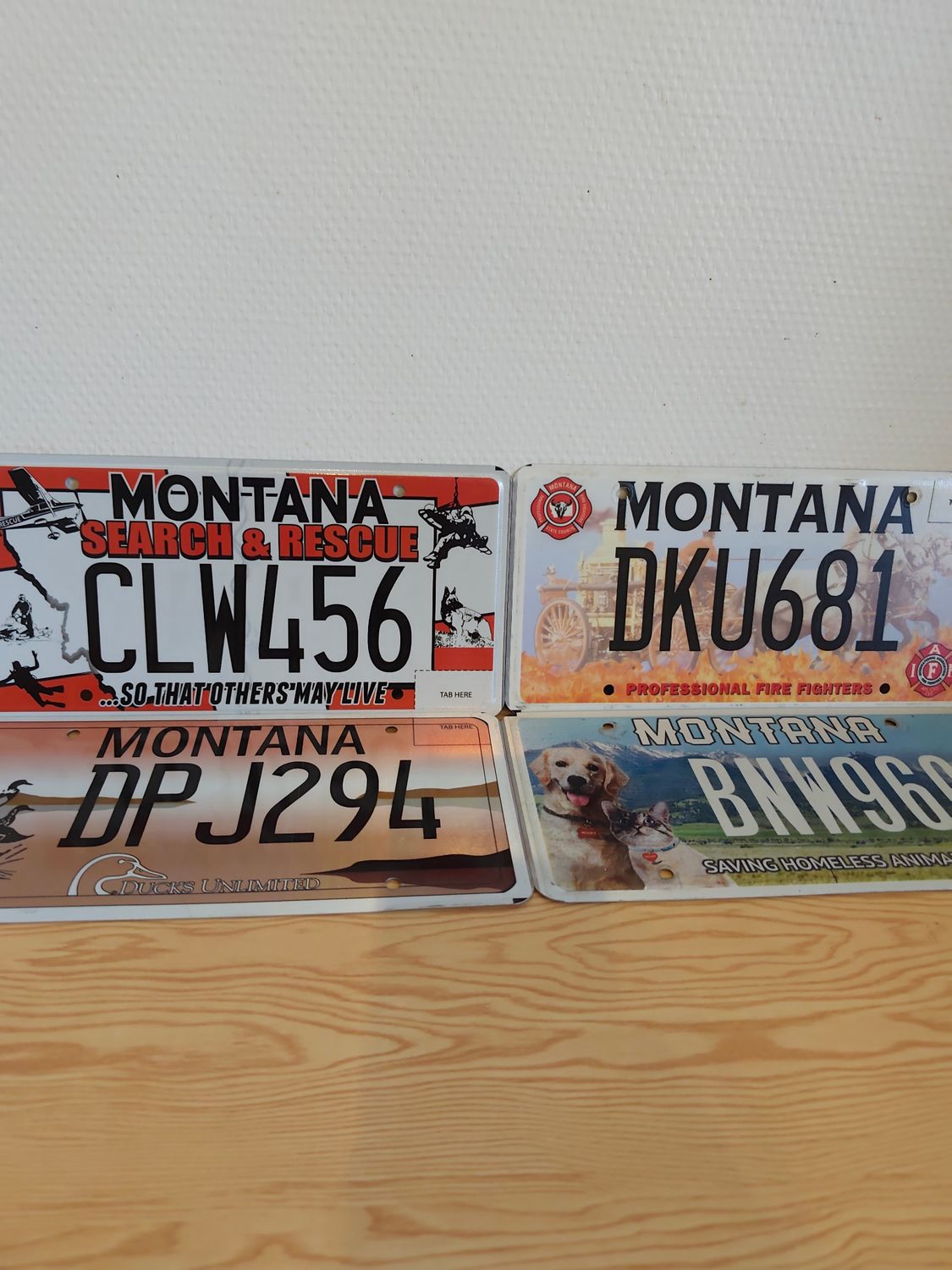 POUR ALEX LOT PLAQUES US