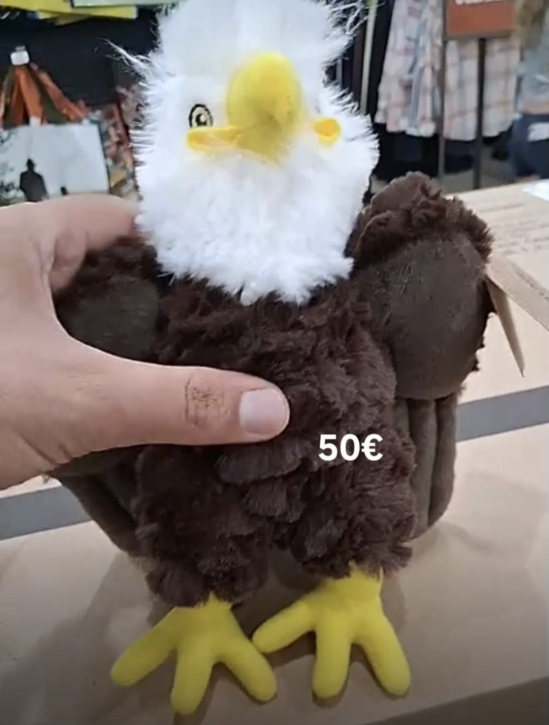 POUR CATHERINE AIGLE 🦅