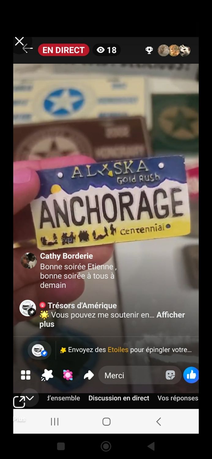 POUR MARTINE MAGNET ALASKA