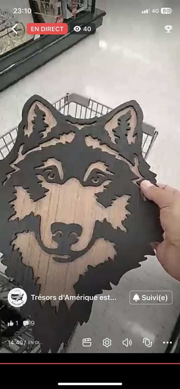 POUR JEAN LUC TÊTE LOUP