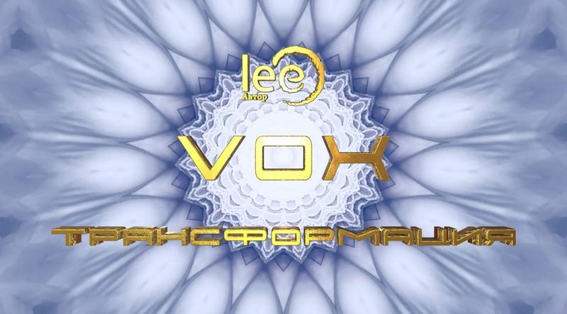 Webinar  VOX Transformation