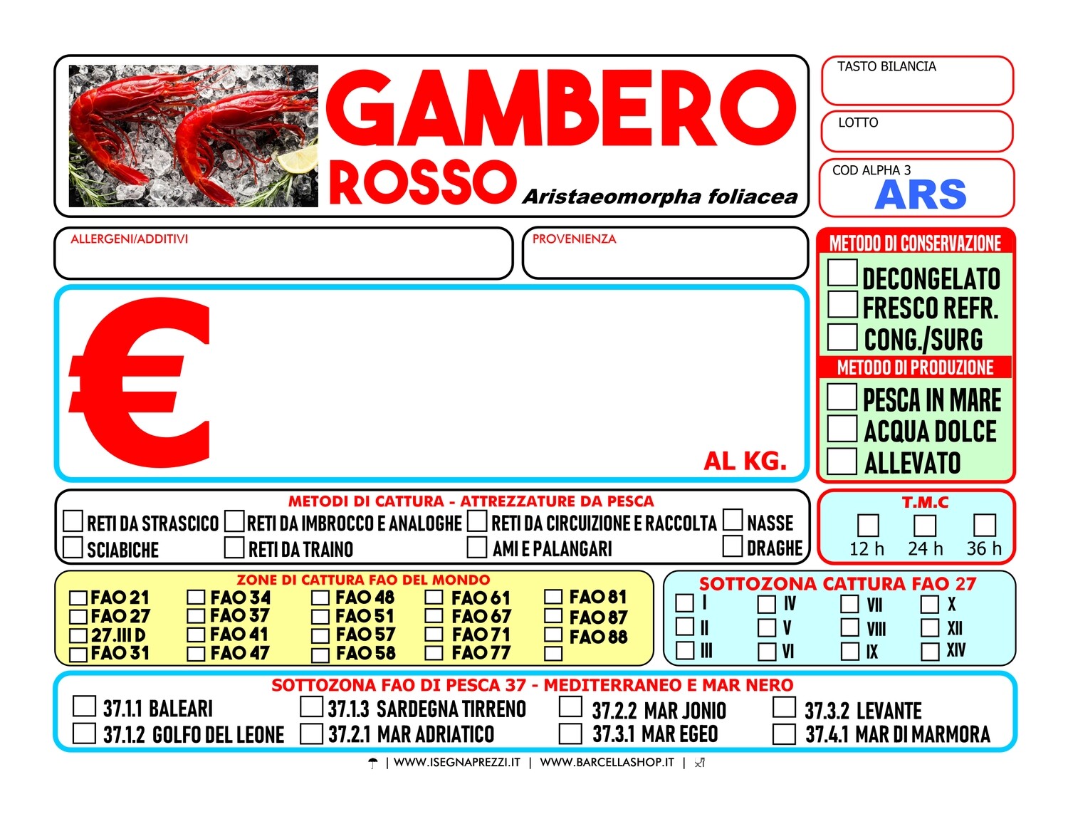 KIT PLATINO 100 CARTELLINI IN PVC ITALIA MERIDIONALE FORMATO 9,5X13,5 IN POLIETILENE DA 0,5MM