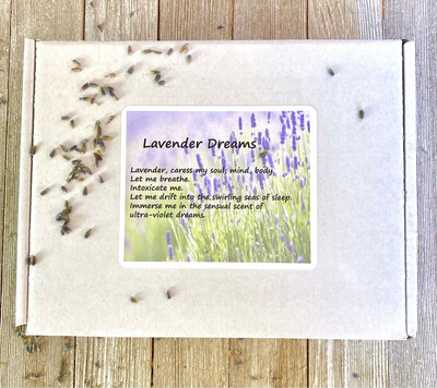 Lavender Dreams Gift Set