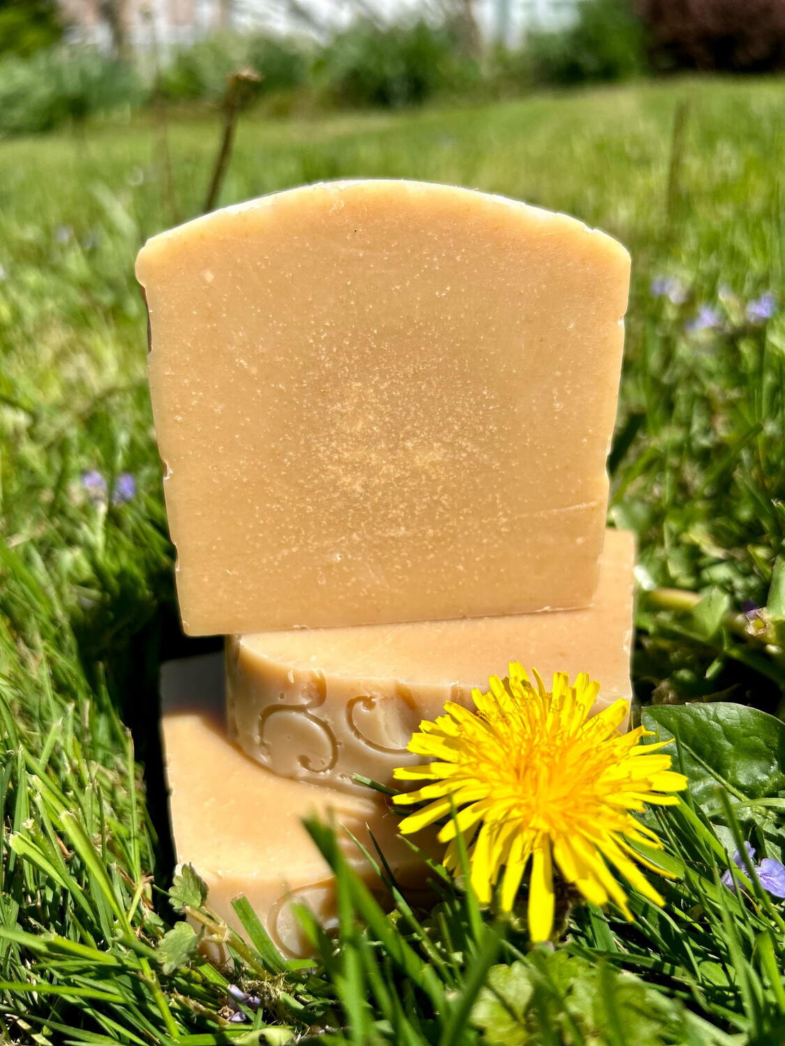 Dandelion &amp; Wild Honey Soap