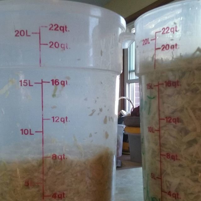 Farmers Market Pantry Share