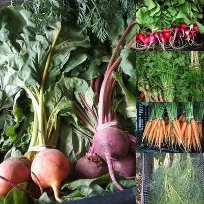 Warwick Valley Farmers Market C.S.A. Shares