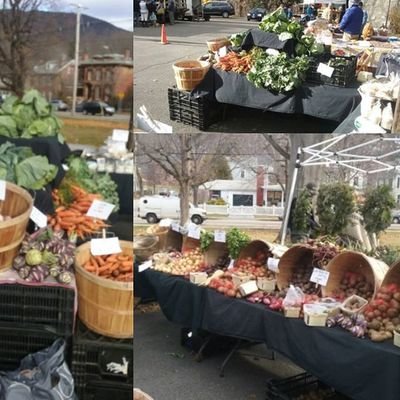 CSA Shares