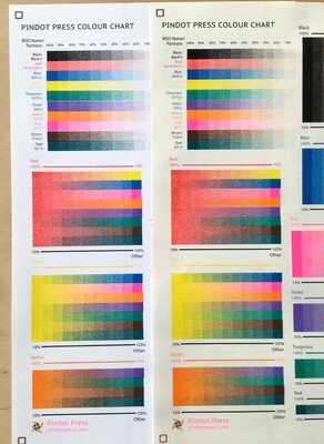NEW Pindot Press Color Chart (13 Colors)