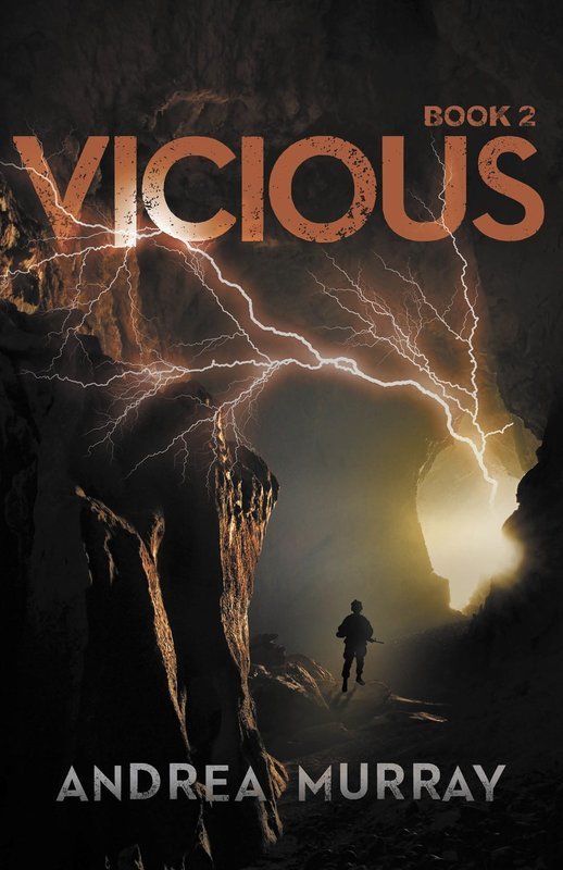 Vicious (Book 2)