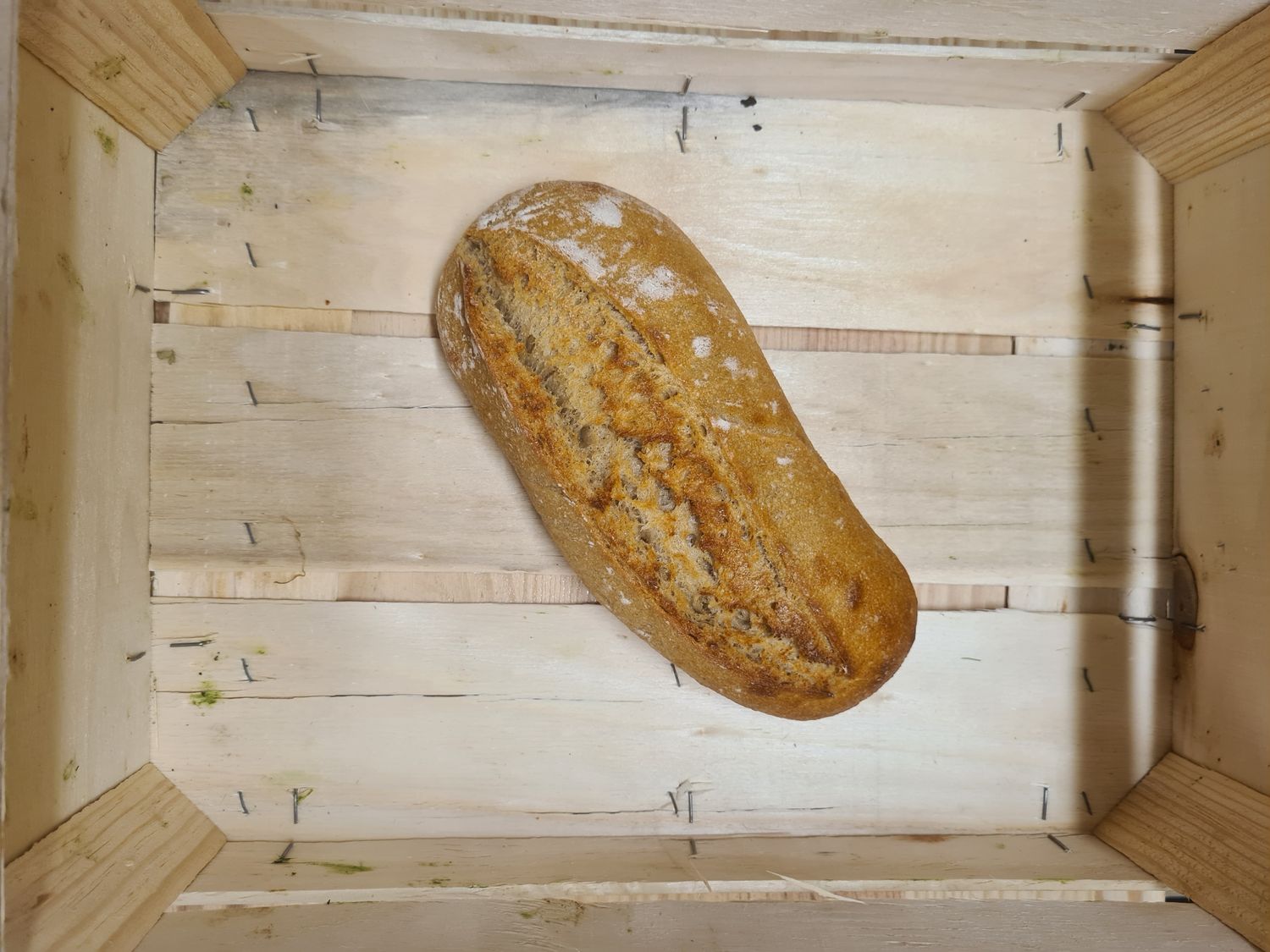 Pain au blé KHORASAN