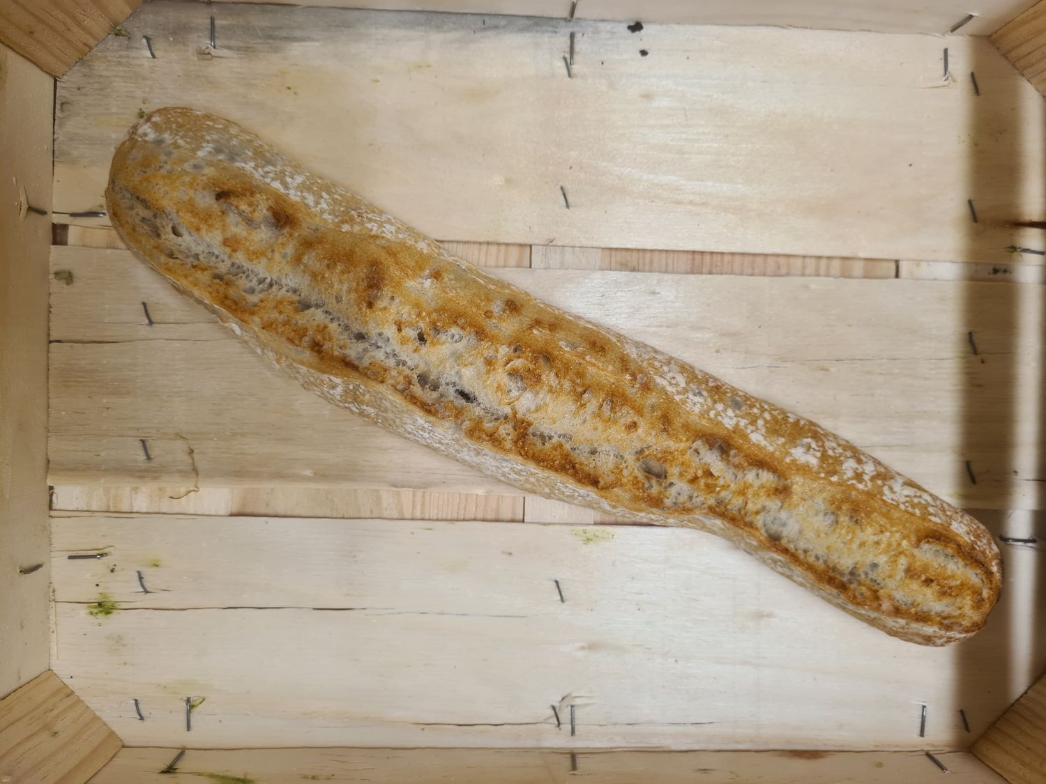 BAGUETTE TRADITION FRANCAISE