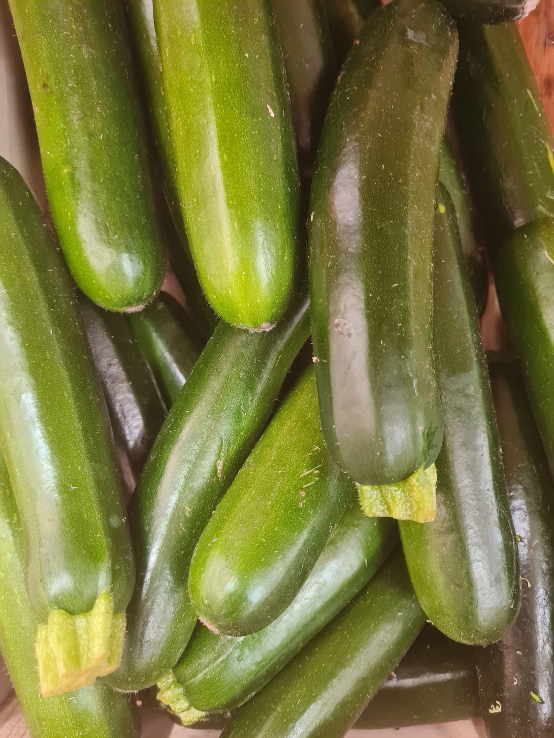 Courgettes