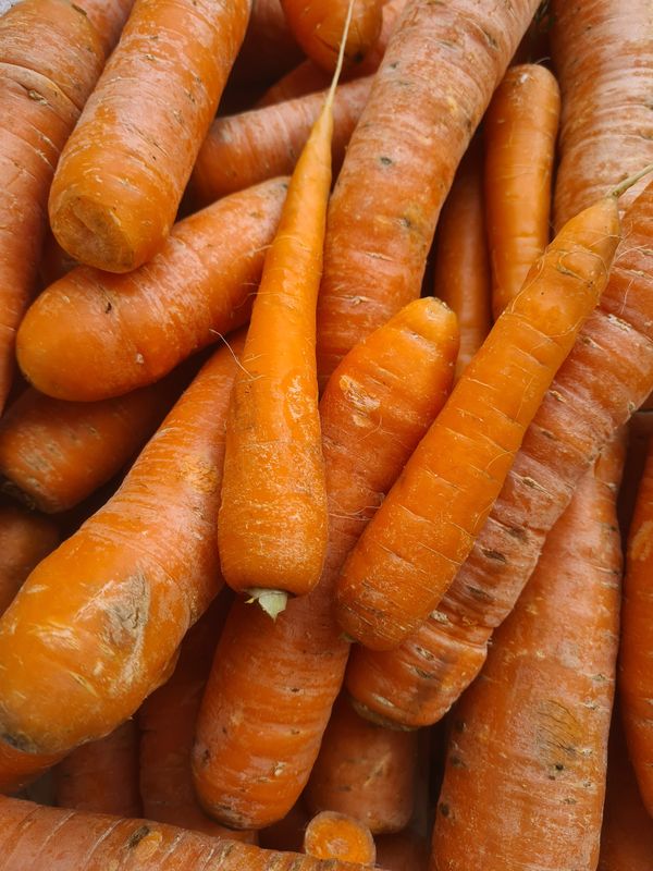 Carottes