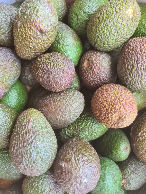 3 petits avocats