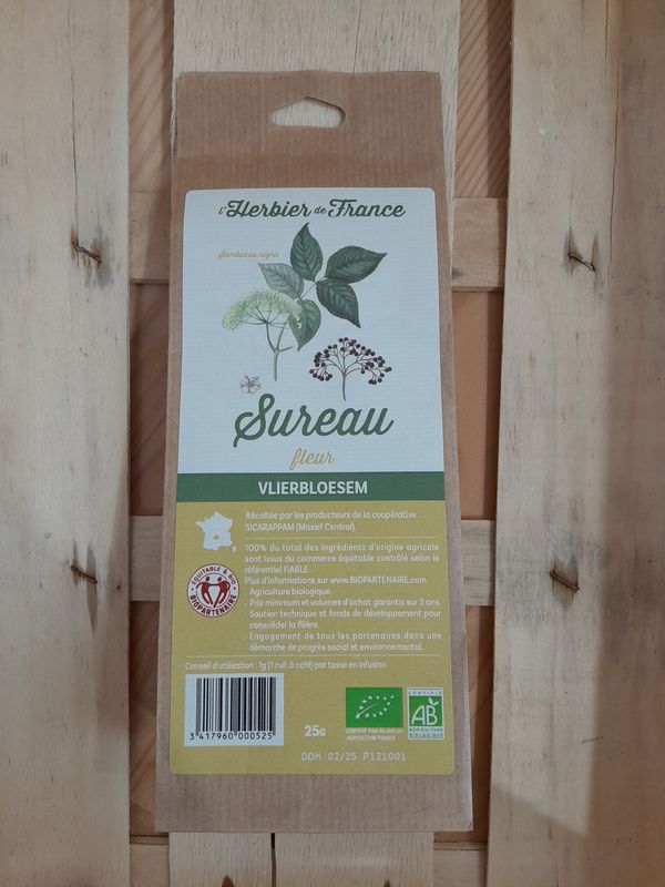 Sureau bio (fleur)