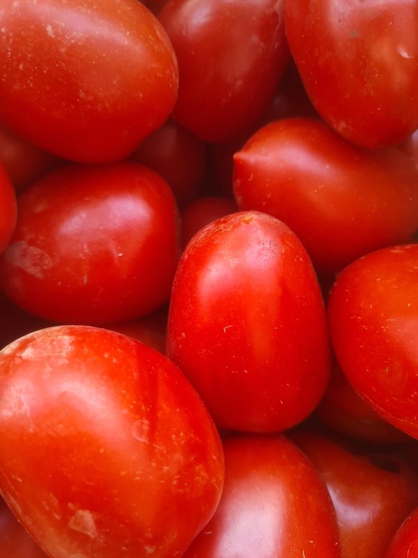 Tomates Roma