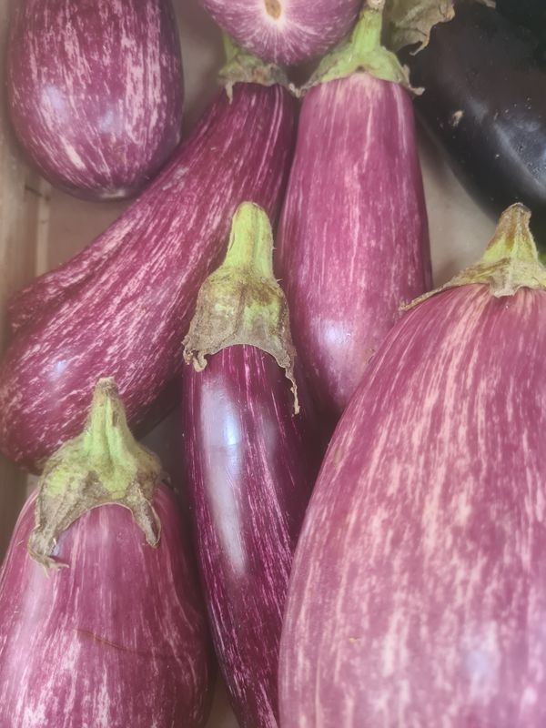 Aubergines Graffiti