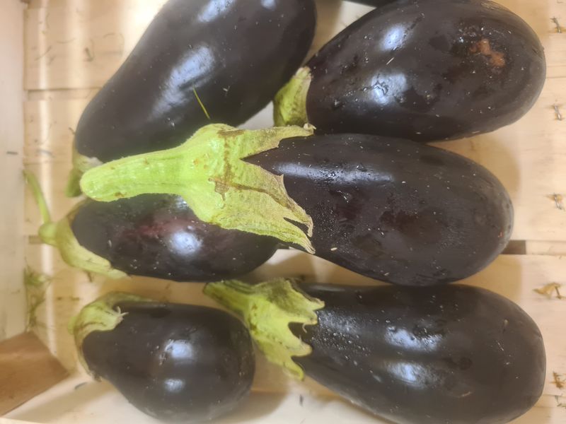 Aubergines