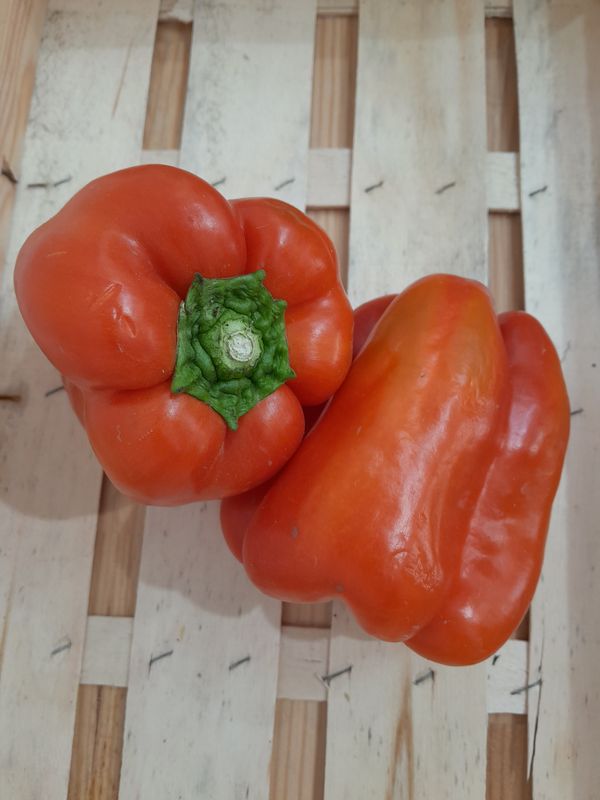 Poivron Rouge
