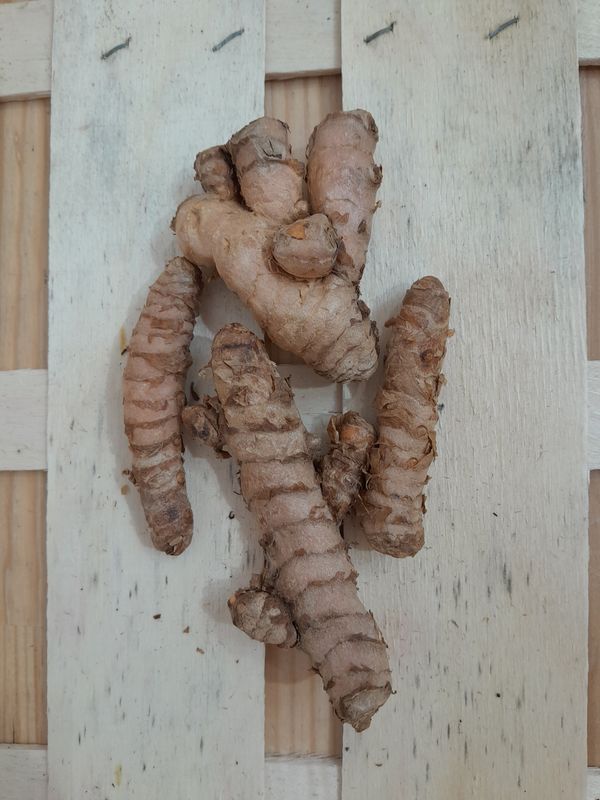 Curcuma frais Bio