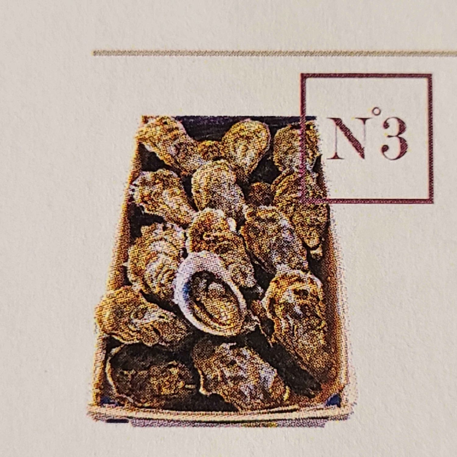 Huitres creuses n°3 (12 pièces)