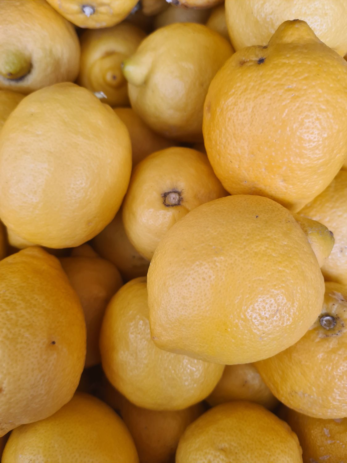 Citrons