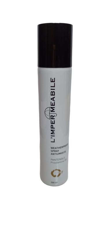 L'IMPERMEABILE