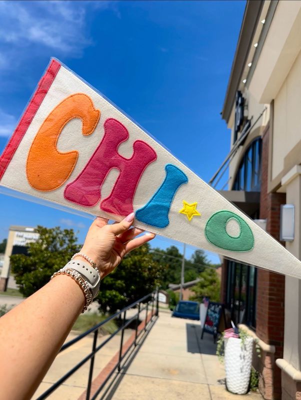 Sorority Rainbow Pennant Flag