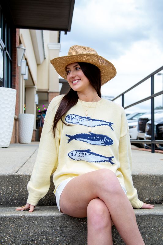 Sardines Round Neck Sweater Top