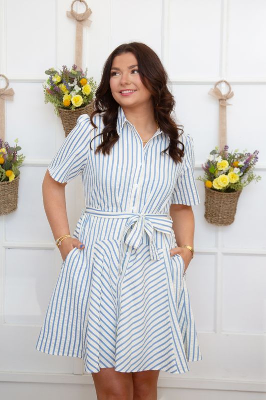 Maddie Striped Button Down Mini Dress