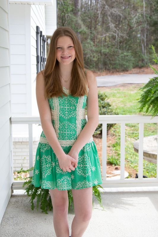 Graceful Glow Embroidery Lace Trim Mini Dress