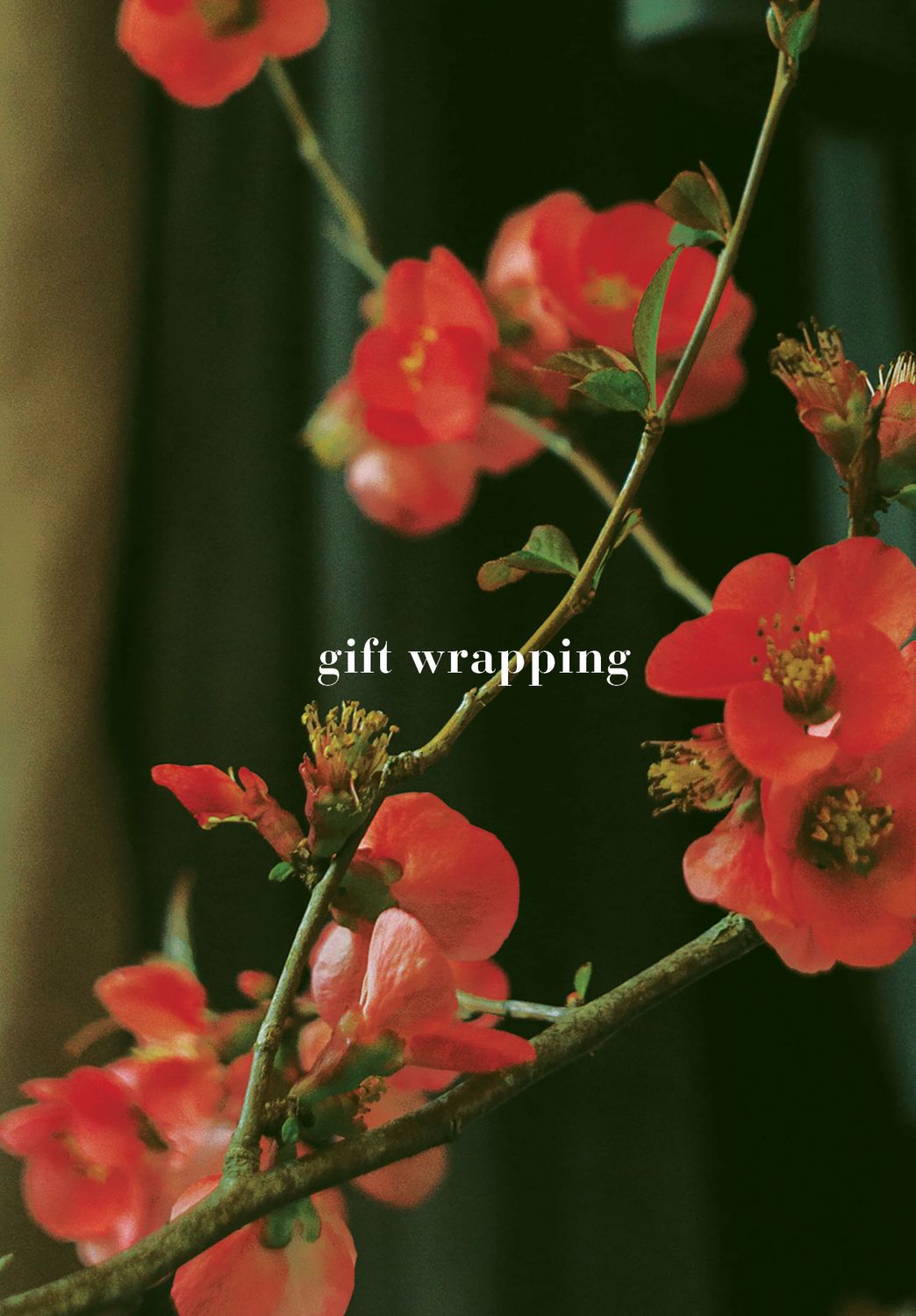 Gift Wrapping