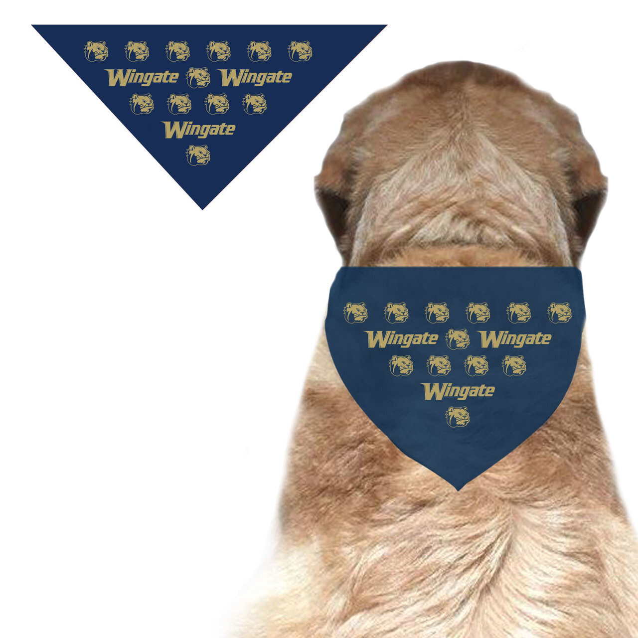 Pet Bandana