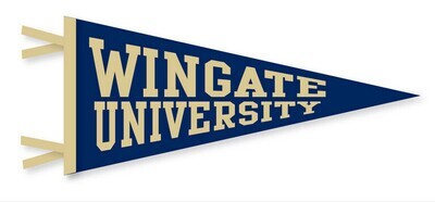 4" x 9" Pennant