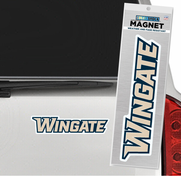 2&quot; x 8&quot; Wingate Magnet