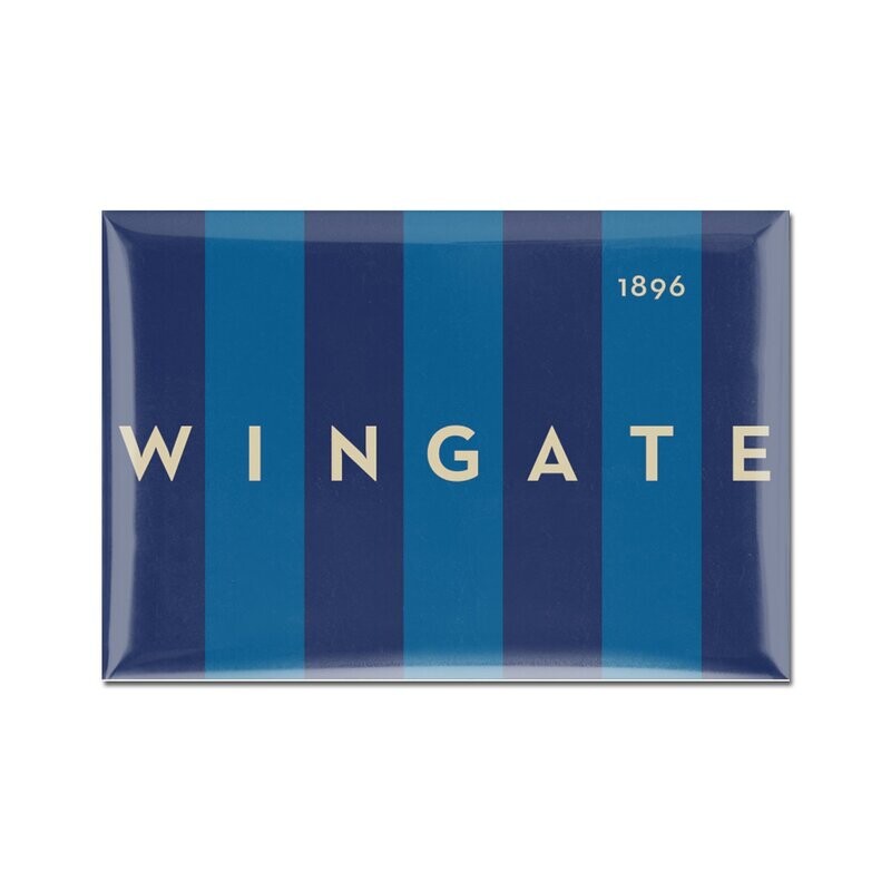 2&quot; x 3&quot; Flag Magnet