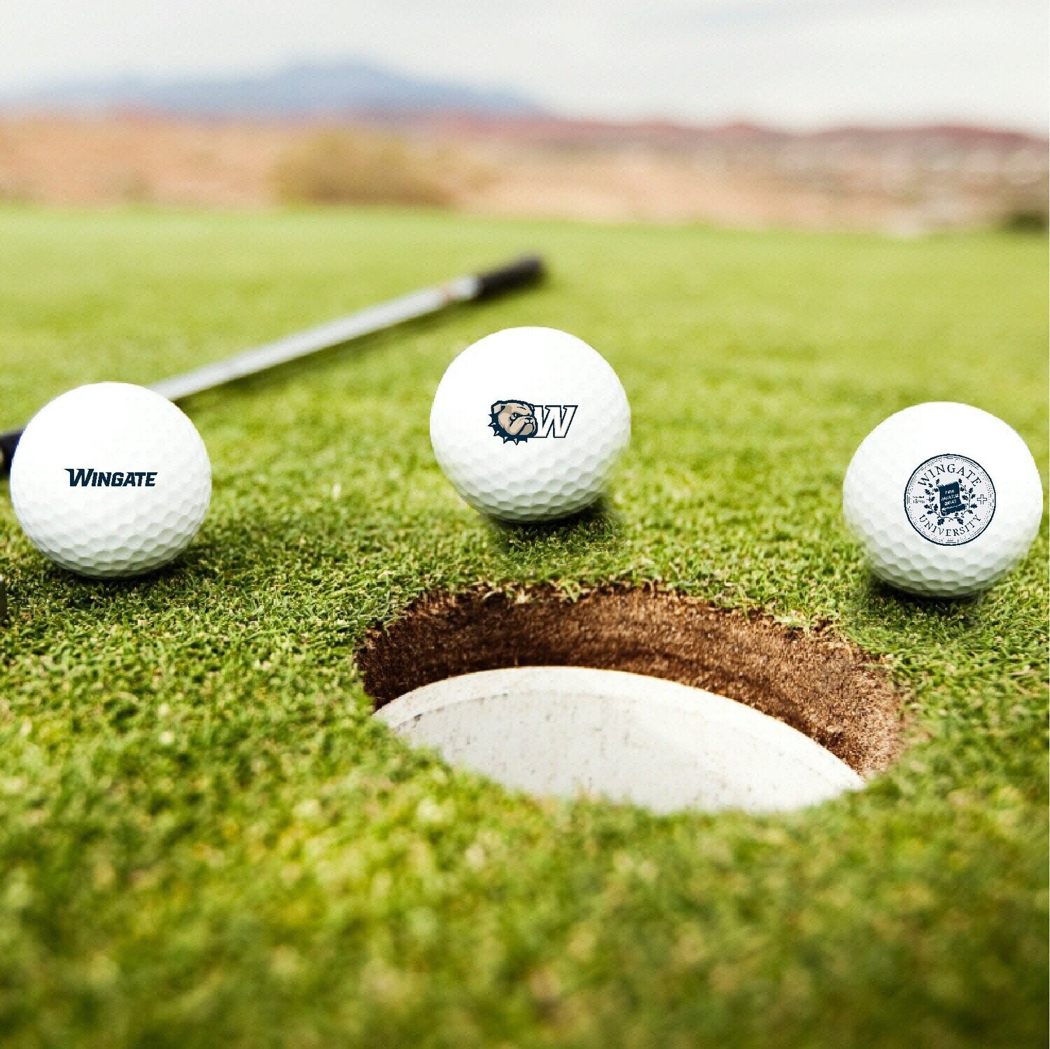Golf Balls (3 Pack)
