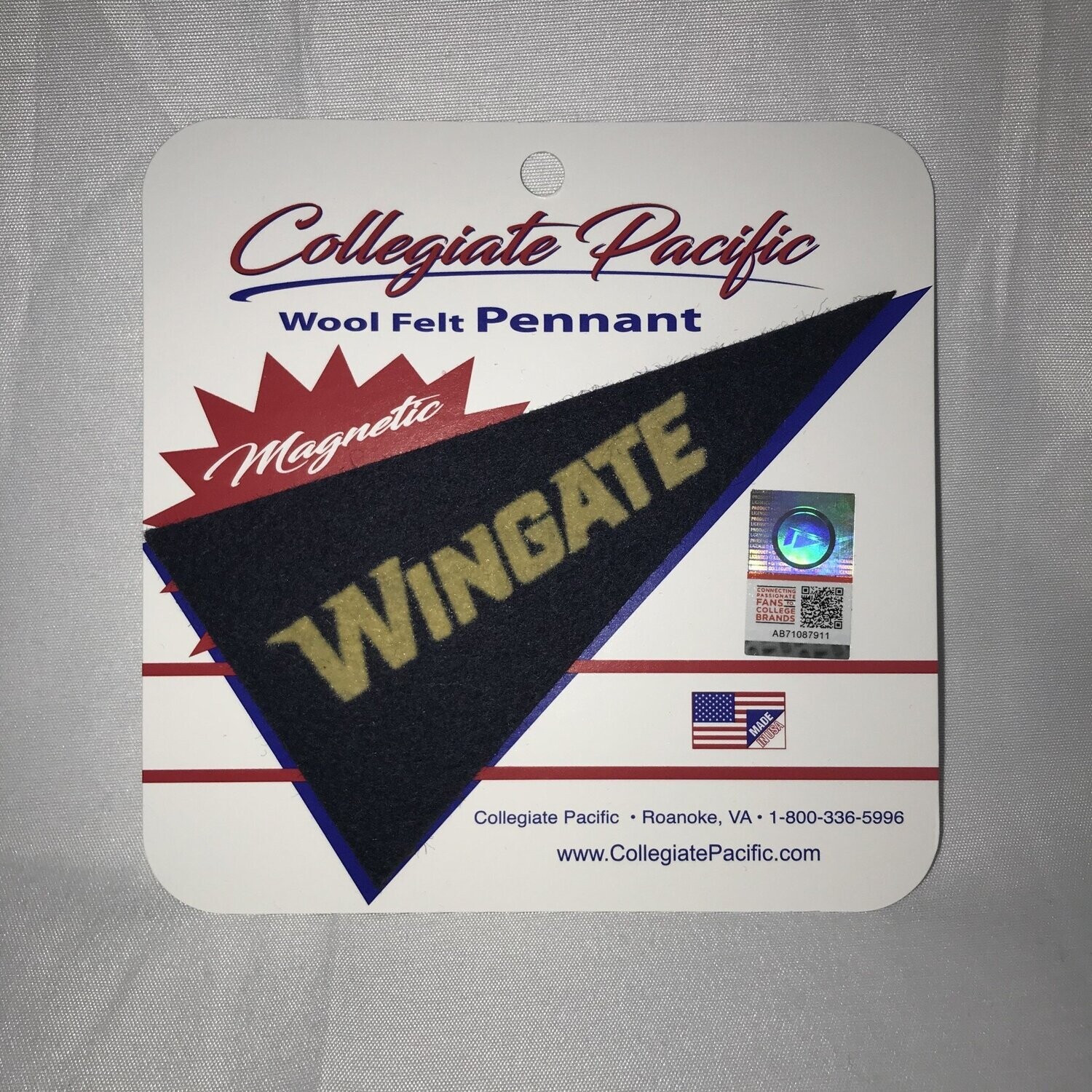 Navy Mini Pennant Magnet