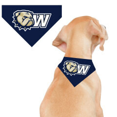 FR Sublimated Collar Channel Bandana