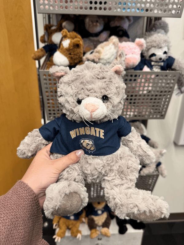 9" Grey Kitten Cuddle Buddy Plush