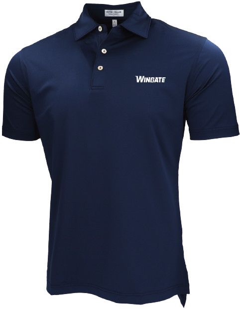 Peter Milar Navy Wingate Solid Performance Jersey Short Sleeve Polo, Size: MD