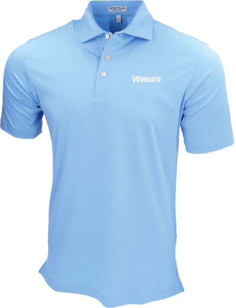 Peter Milar Cottage Blue Wingate Solid Performance Jersey Short Sleeve Polo, Size: MD