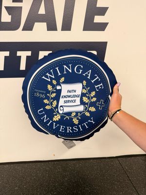 16&quot; x 16&quot; Large Wingate Seal Pillow