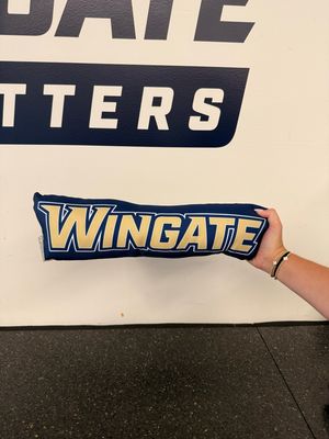 18&quot; x 20&quot; Extra Large Wingate Pillow