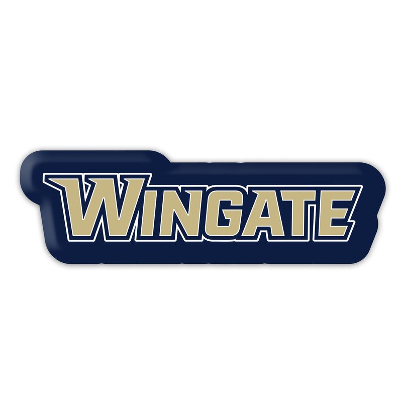 18&quot; x 20&quot; Wingate Pillow