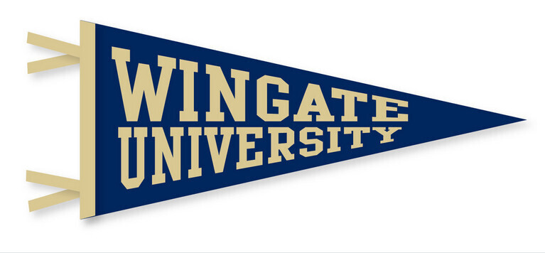 4" x 9" Pennant