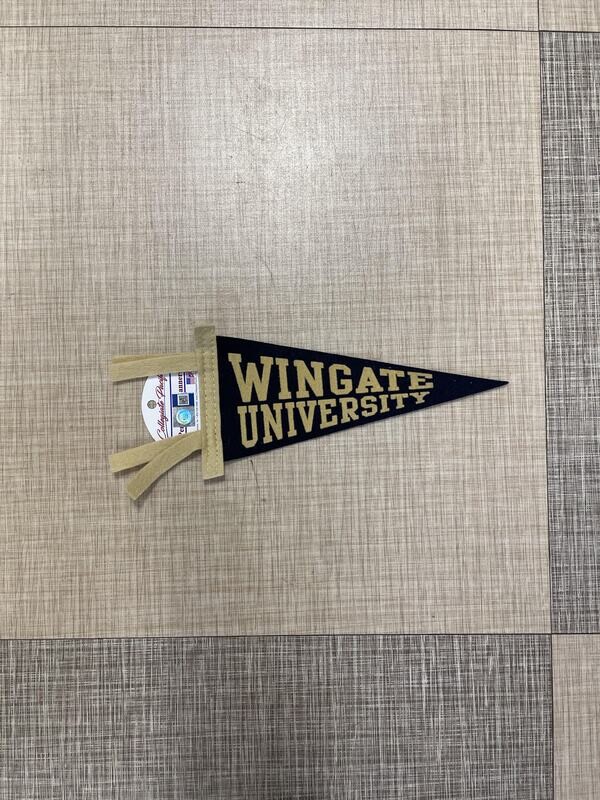 4" x 9" Pennant