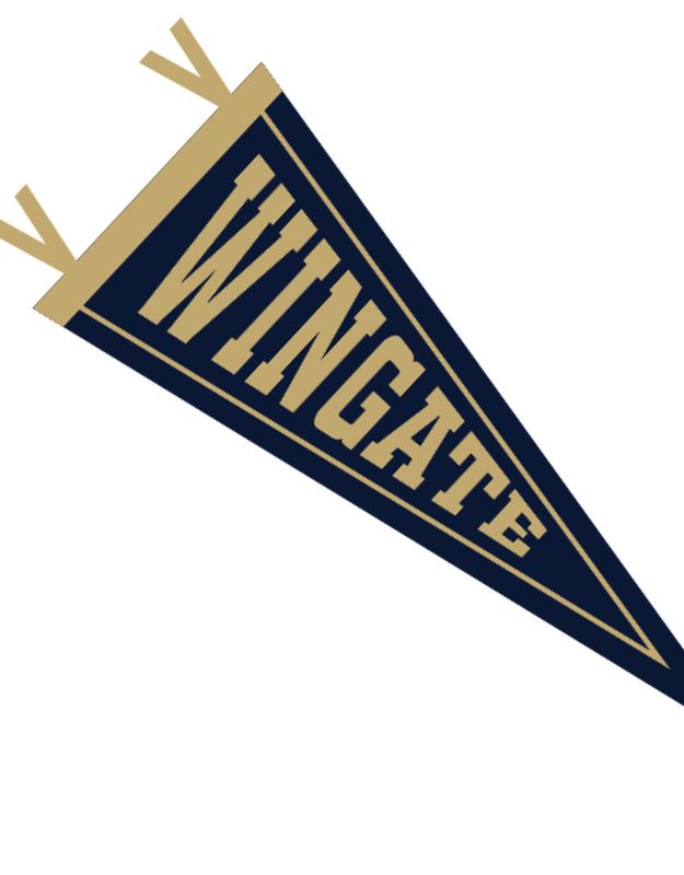 6" x 15" Navy Wingate Pennant